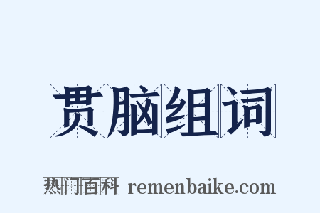 贯脑组词是什么意思的图片